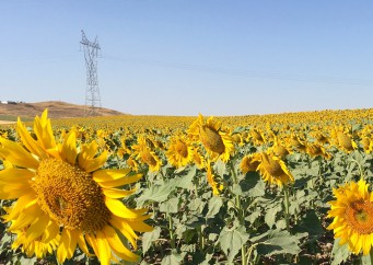 Asesoría energética en Facturación Eléctrica